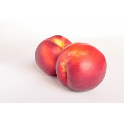 NECTARINE JAUNE DE FRANCE 1KG