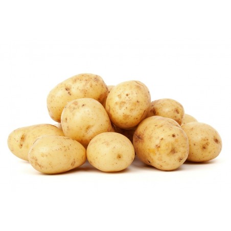 AGATA (Filet 2kg) - Pommes de terre