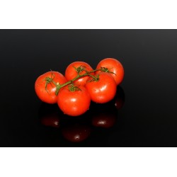 TOMATE GRAPPE - 1kg